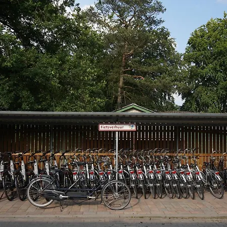 Veluwe Bliss